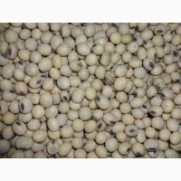 Соя Насінева Kansas Друга Репродукція