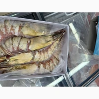 Special Offer - Frozen Bonito (Пеламида / Пиламида) Frozen on board, size 1 kg+, price 150
