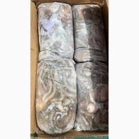 Special Offer - Frozen Bonito (Пеламида / Пиламида) Frozen on board, size 1 kg+, price 150