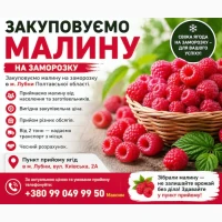 Приймаємо малину на заморозку