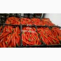Продам перец красный острый