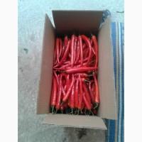 Продам перец красный острый