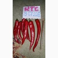 Продам перец красный острый