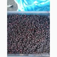 Продам ожину заморожену опт