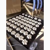 Отсадная машина ПВМ-150