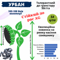 Новинка!!! Насіння Соняшника Гібрид - УРБАН OR7 (SU)