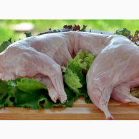 Продам мясо кролика, кроля