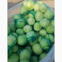 Продам картоплю, капусту, буряк, яблука