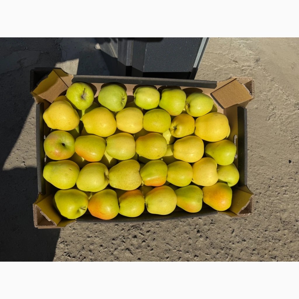Продам яблука Екстра класу