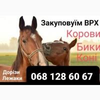 Перевезення врх