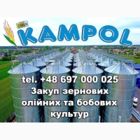 Куплю ЛЬОН новий врожай