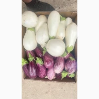 Продам товарний баклажан