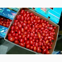 Продам помідори