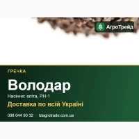 Купити гречку Володар на посів - еліта, РН-1