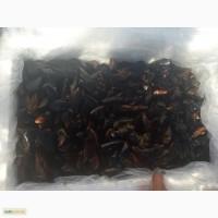 Черноморская мидия и рапана