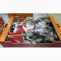 Продаем баклажаны из Испании