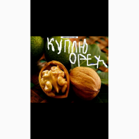 Куплю орех не бойный