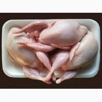 Продам тушки перепелов