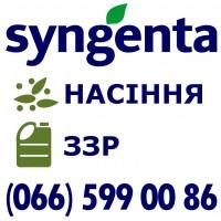 Інсектициди АХТ від ТОВ ДП Аграрні Стратегії