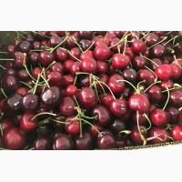 Продам черешню, сорт ранняя Мелитопольская, калибр 22-25мм и сорт Майка