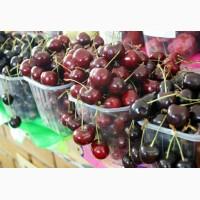 Продам черешню, сорт ранняя Мелитопольская, калибр 22-25мм и сорт Майка