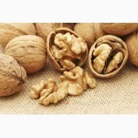 Selling Shell Fresh Unbroken Walnuts