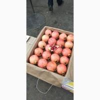 Гранат Узбекский