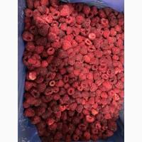 Продам малину в гофроящику 4 тони