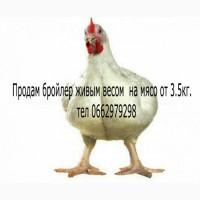 Продам бройлер живым весом от 3кг