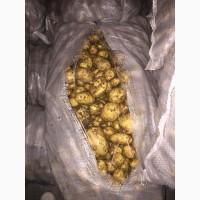 Voi vinde, castraveti, varza, rosii, cartofi din romania
