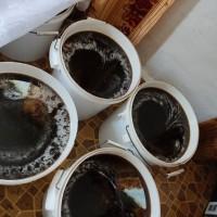 Гречаний мед з власної пасіки