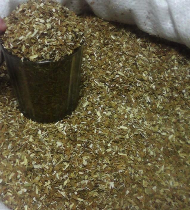 Фото 3. Домашня Махорка не пріла свіжий врожай