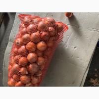 Продам лук оптом