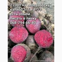 Продам буряк на бюджет