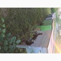 Продам бжолопакети