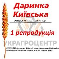 Насіння озимої пшениці ДАРИНКА КИЇВСЬКА 1 репродукція 2024р