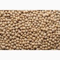 СОЯ ГМО. Закуповуємо на умовах CPT: порт Одеса