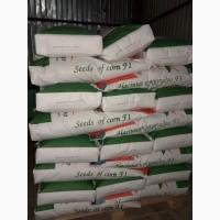 ДБ Хотин 2025