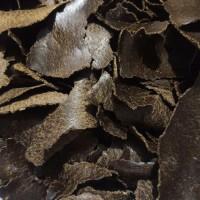 Макуха льону