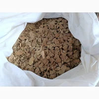 Макуха з насіння гарбуза типових сортів гарбуза «Турка» та «Українка»