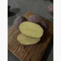 Насіннєва картопля Есмі - високий врожай