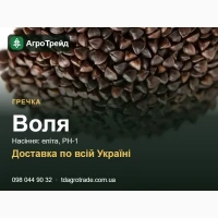Насіння: гречка Воля - еліта, РН-1