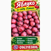 Я6лук0 і3 свду Літин