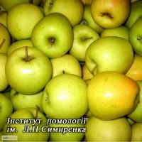 Саженцы плодовых, ягодных и декоративных культур, розы