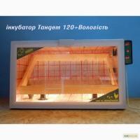 Лучшие инкубаторы тандем с закладкой от 60 до 3000 яиц