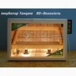 Лучшие инкубаторы тандем с закладкой от 60 до 3000 яиц