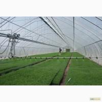 Теплицы и все для теплиц