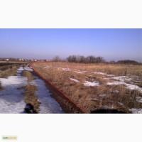 Земля ОСГ 57 га Артемовка, Иванков, Бориспольский район