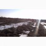 Земля ОСГ 57 га Артемовка, Иванков, Бориспольский район