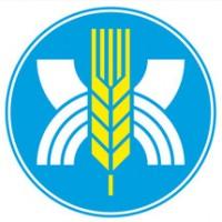 Борошно Білоцерківський КХП оптом